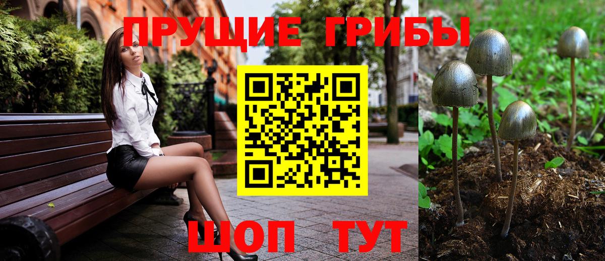 Вологда  Псилоцибиновые грибы Magic Shrooms  Вход с VPN 