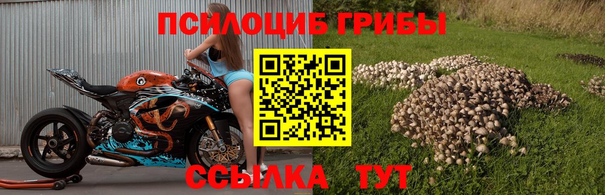 Alpha PVP Вологда