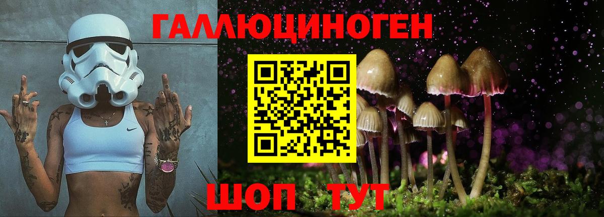 где можно купить   Вологда  Псилоцибиновые грибы прущие грибы 